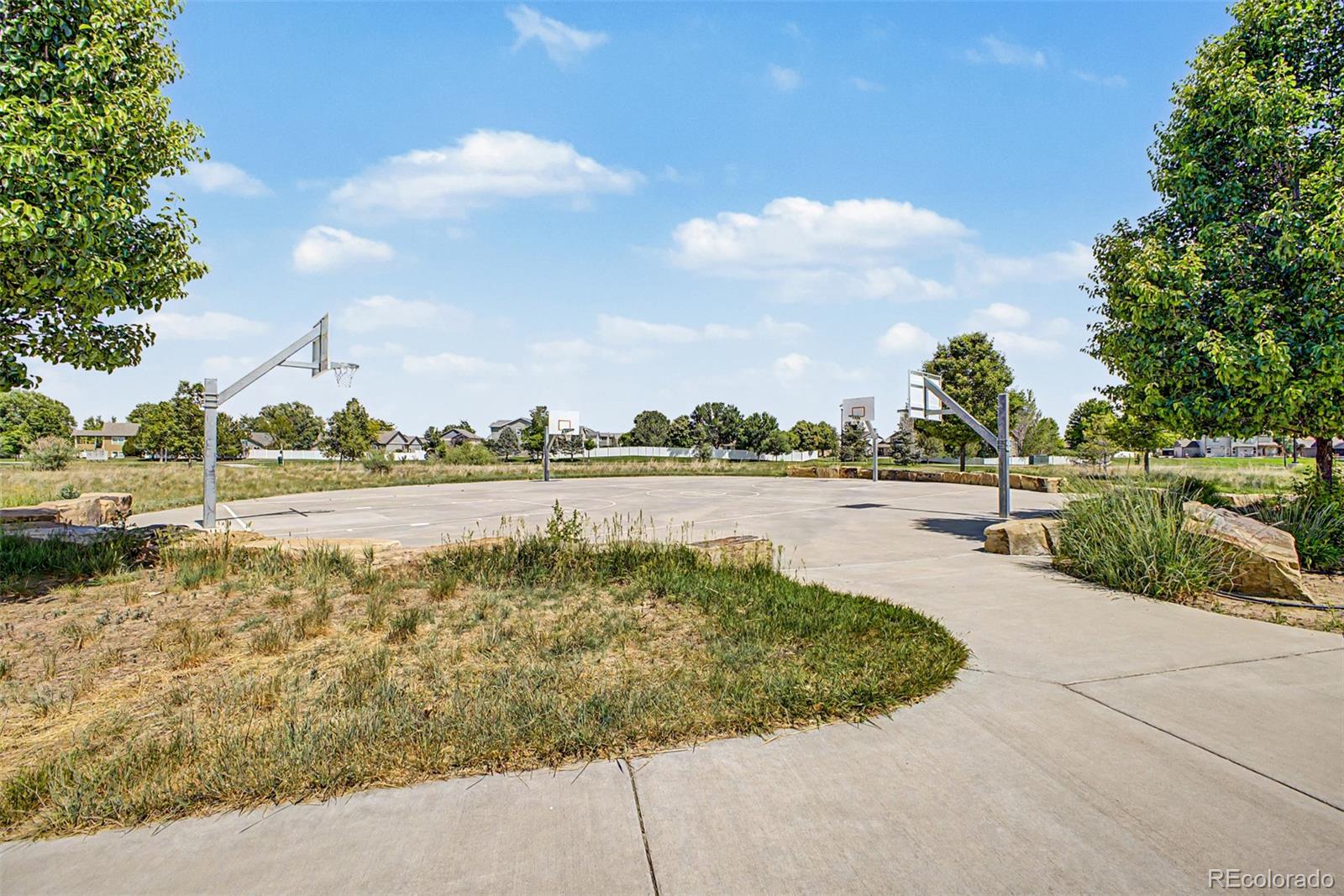 MLS Image #48 for 652  sundance drive,windsor, Colorado