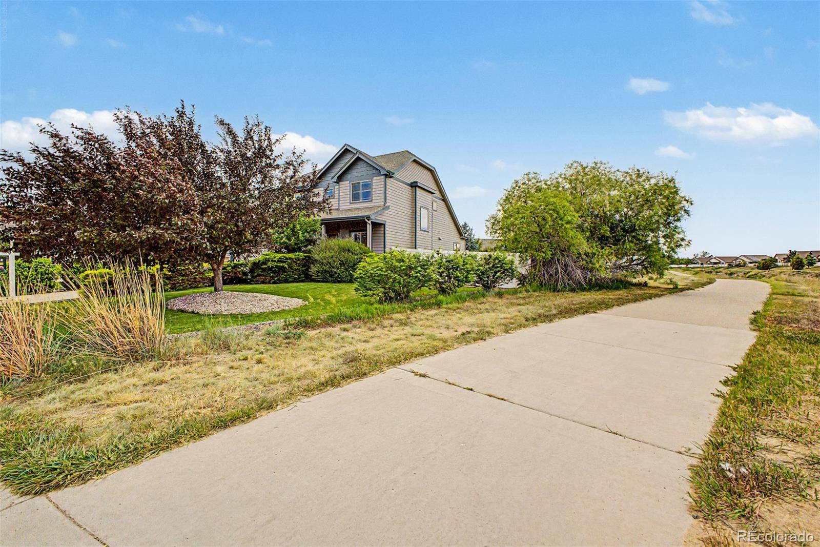 MLS Image #5 for 652  sundance drive,windsor, Colorado