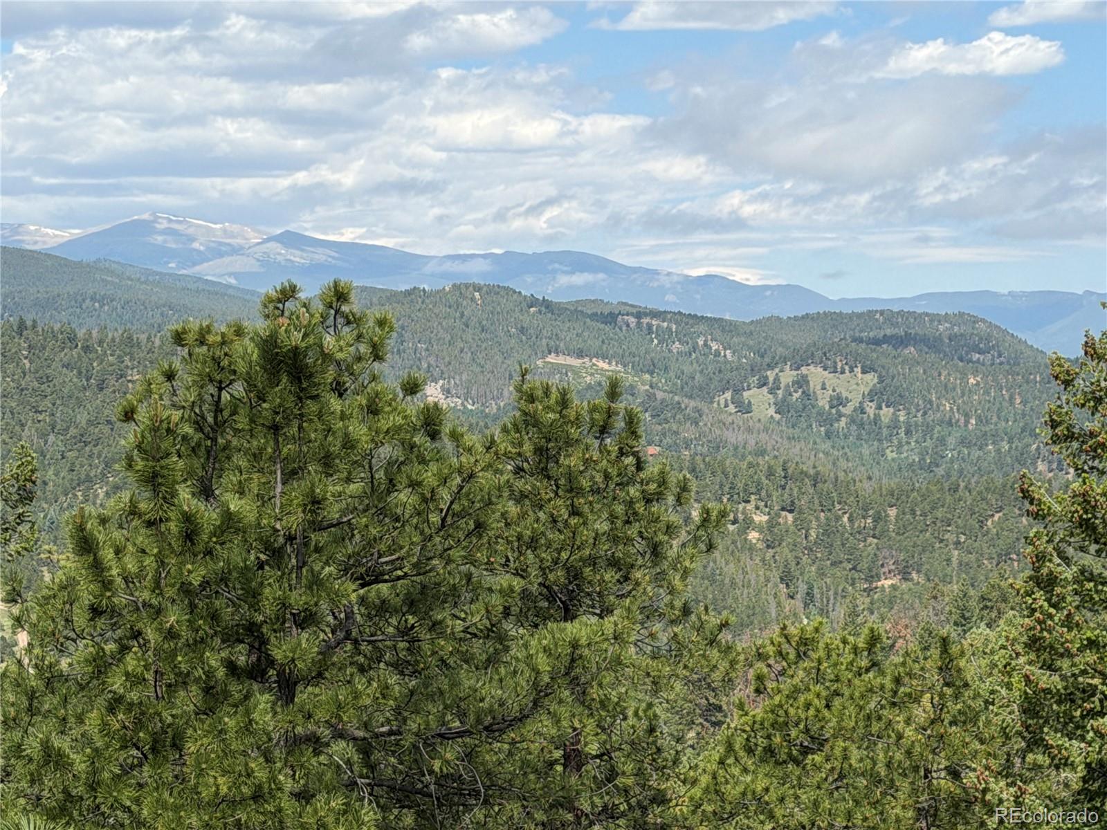 MLS Image #11 for 7637  centaur drive,evergreen, Colorado