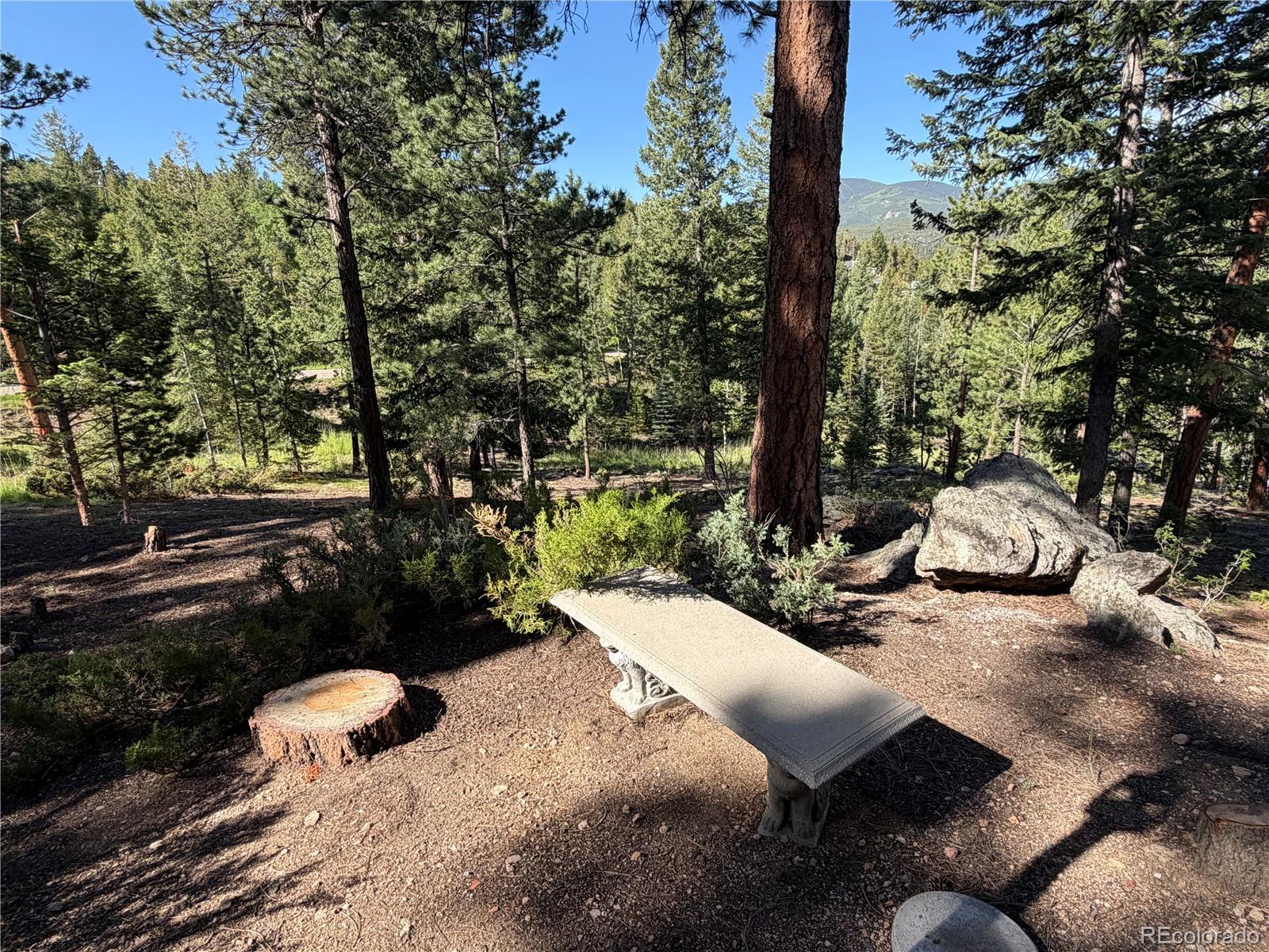 MLS Image #14 for 7637  centaur drive,evergreen, Colorado