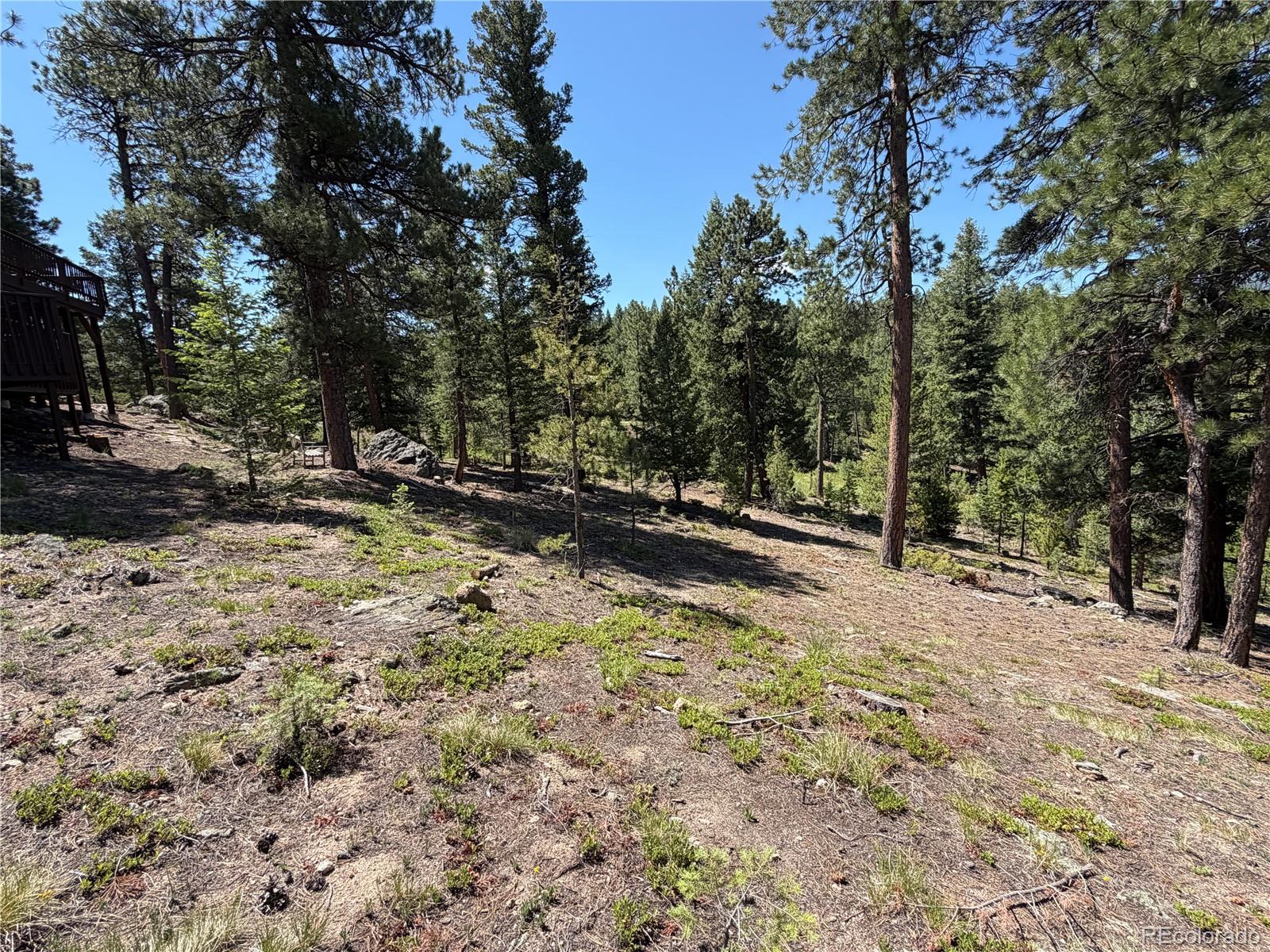 MLS Image #15 for 7637  centaur drive,evergreen, Colorado
