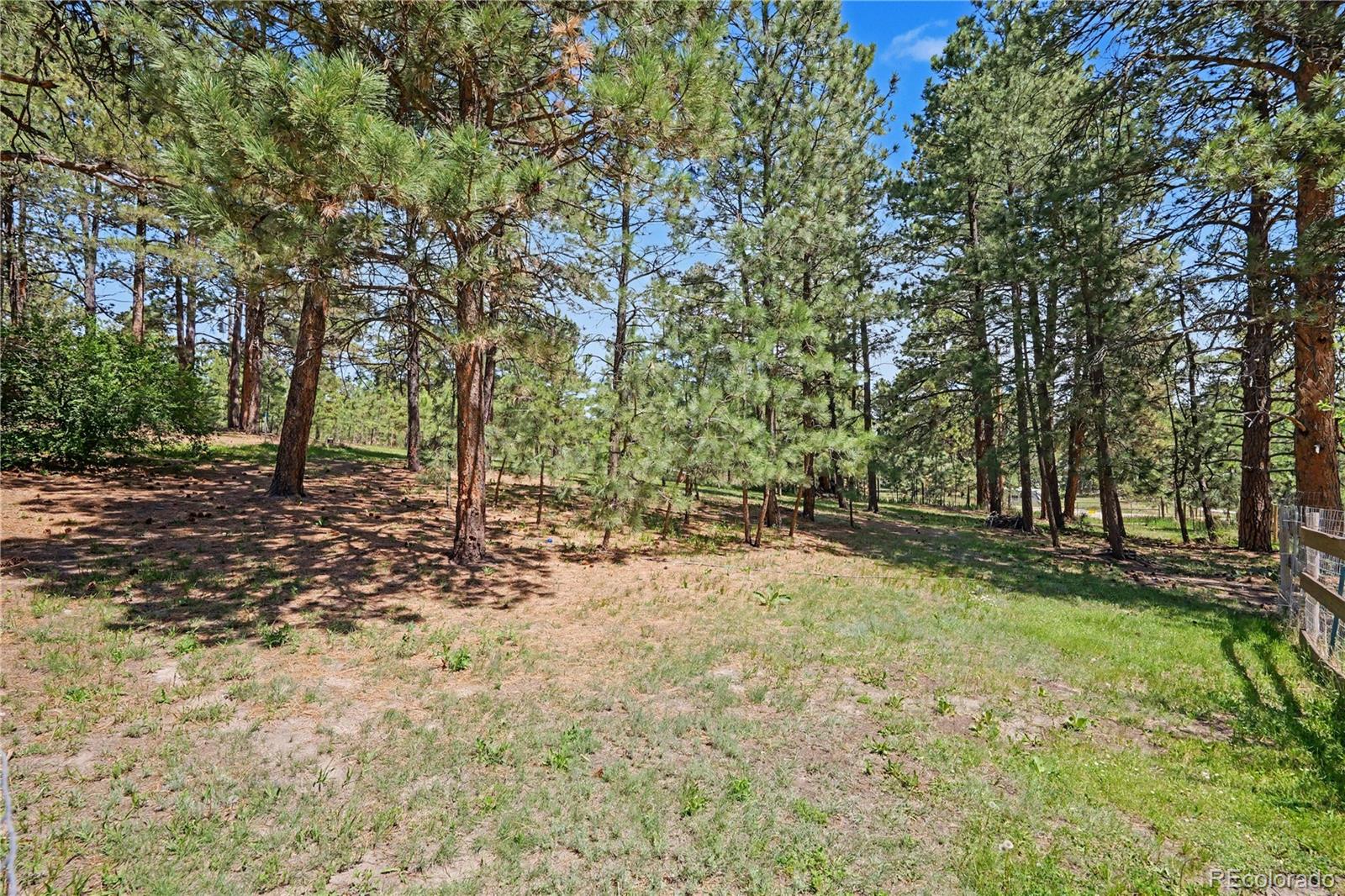 MLS Image #37 for 35787  elkridge run,elizabeth, Colorado