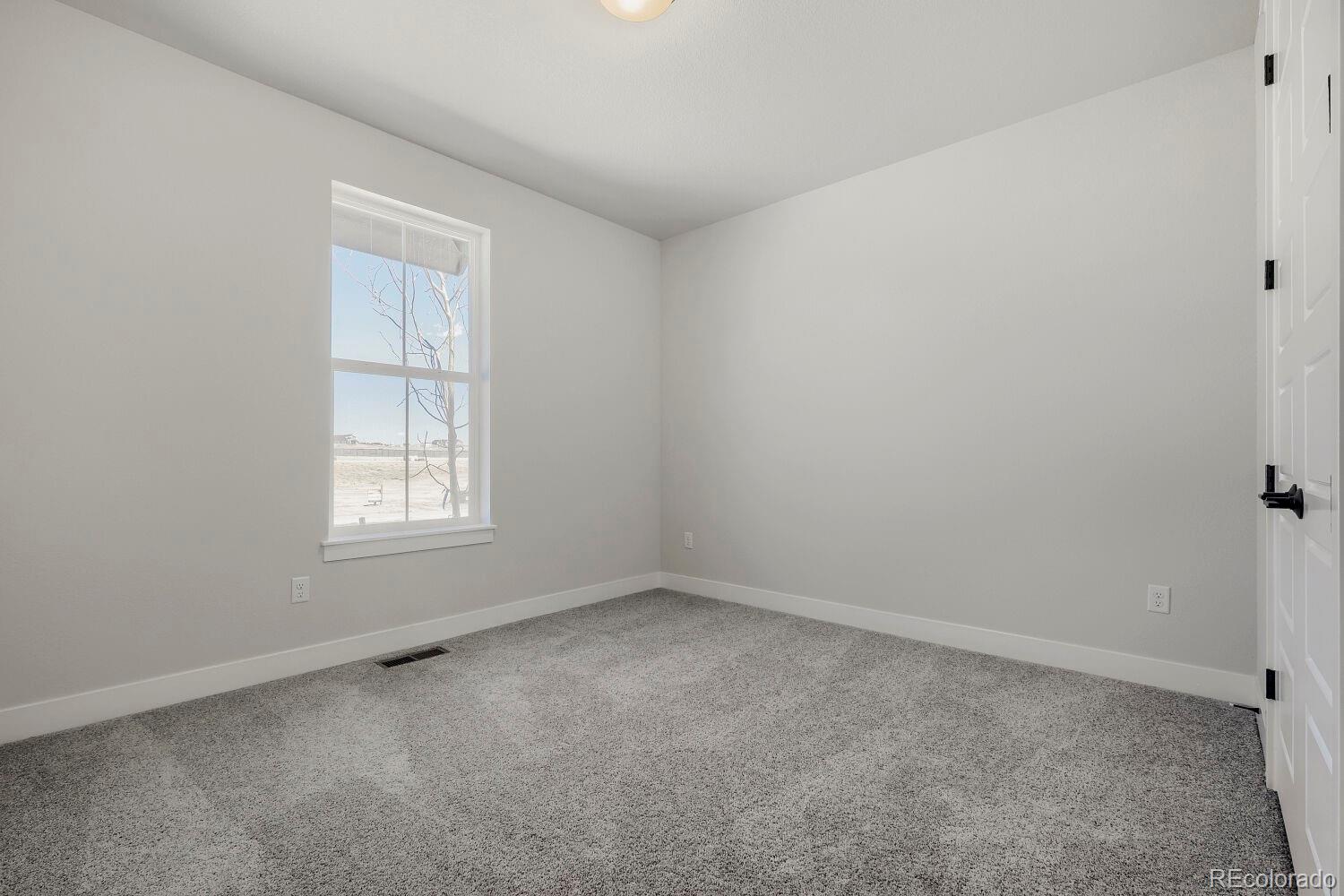 MLS Image #15 for 8688  long beach terrace,colorado springs, Colorado