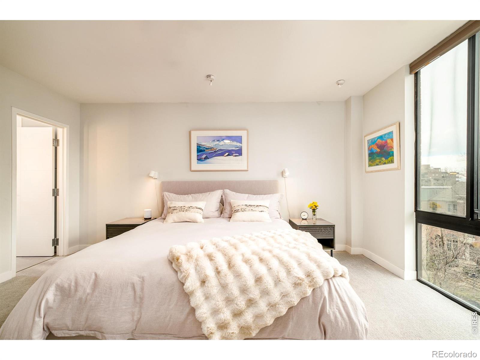 MLS Image #12 for 1111  race street,denver, Colorado