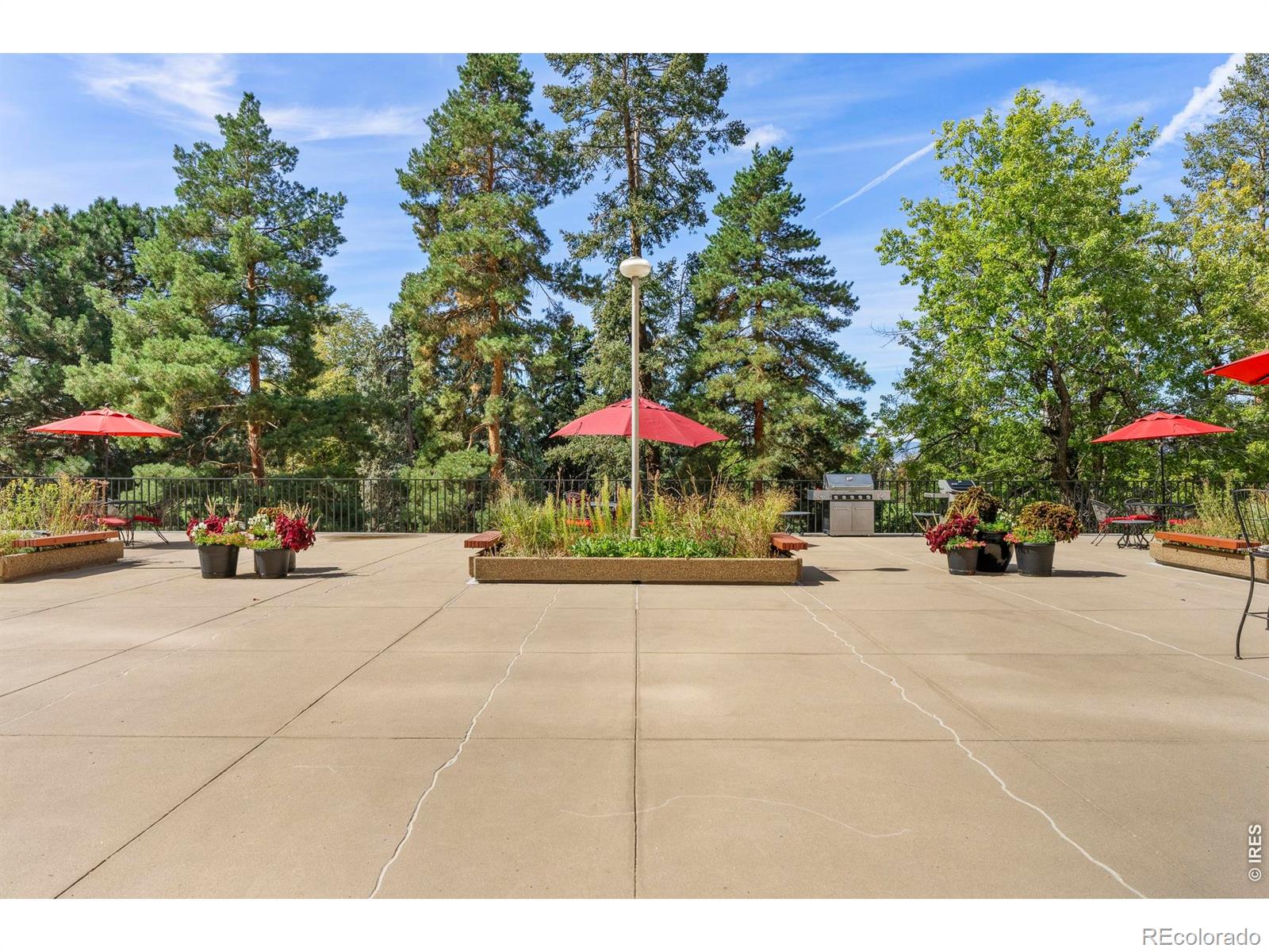 MLS Image #32 for 1111  race street,denver, Colorado