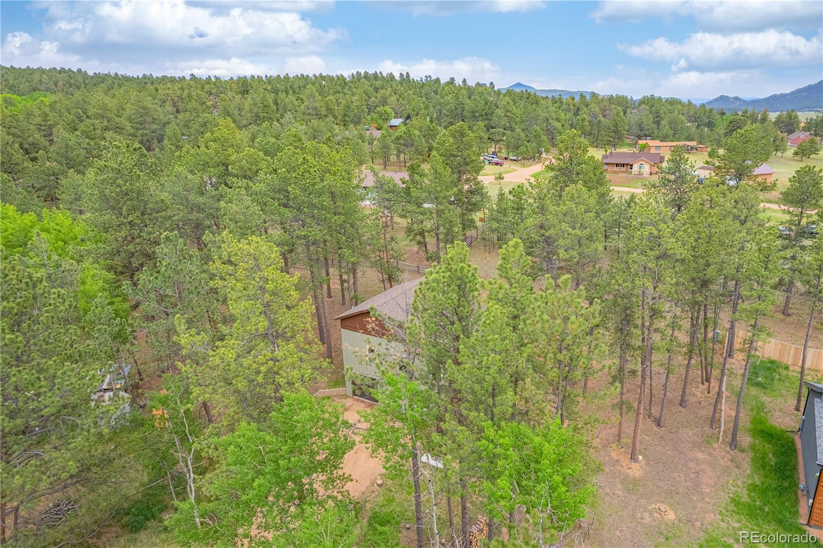 MLS Image #3 for 114  homestead lane,florissant, Colorado
