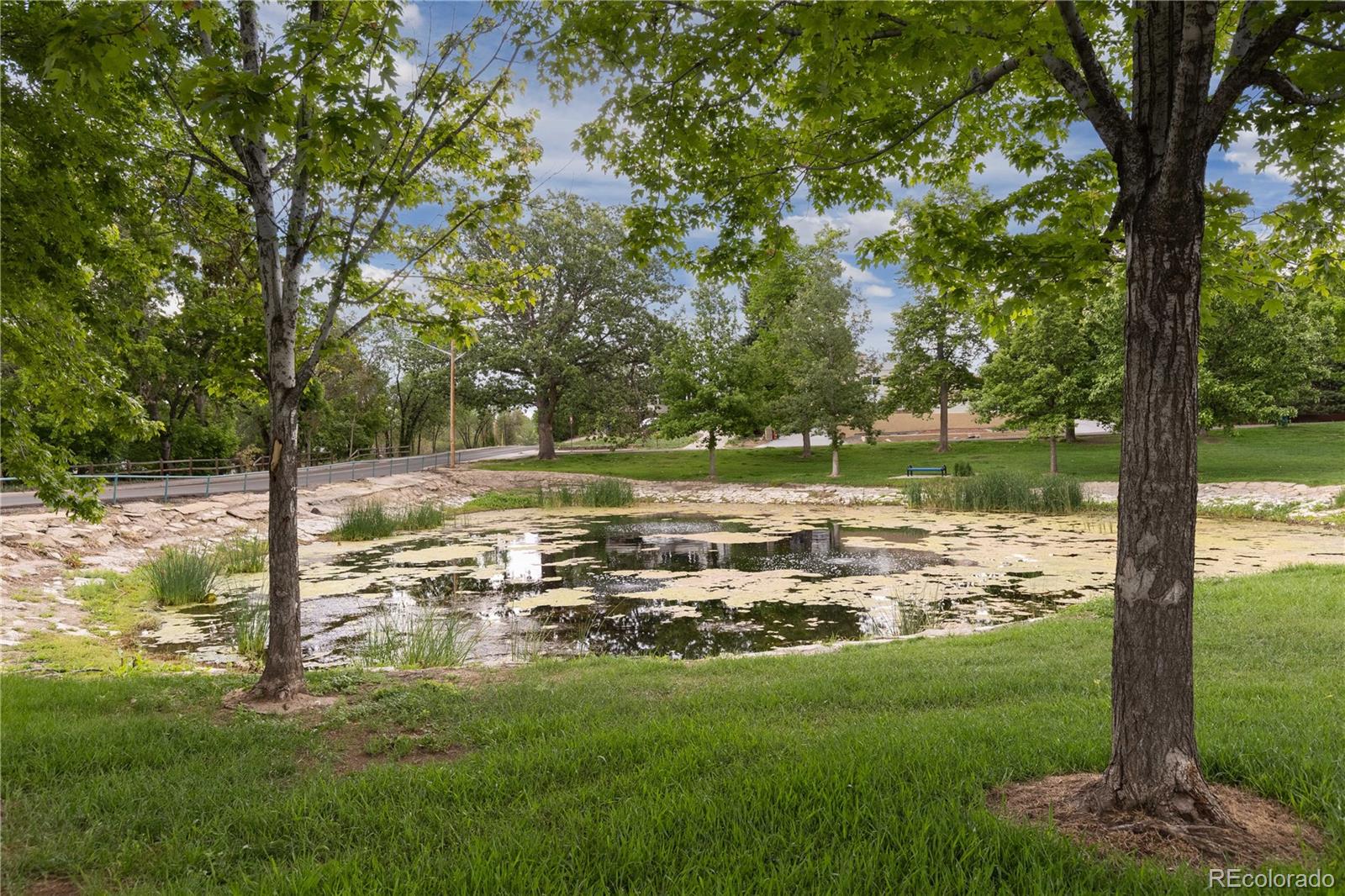 MLS Image #41 for 5425  columbine lane,denver, Colorado