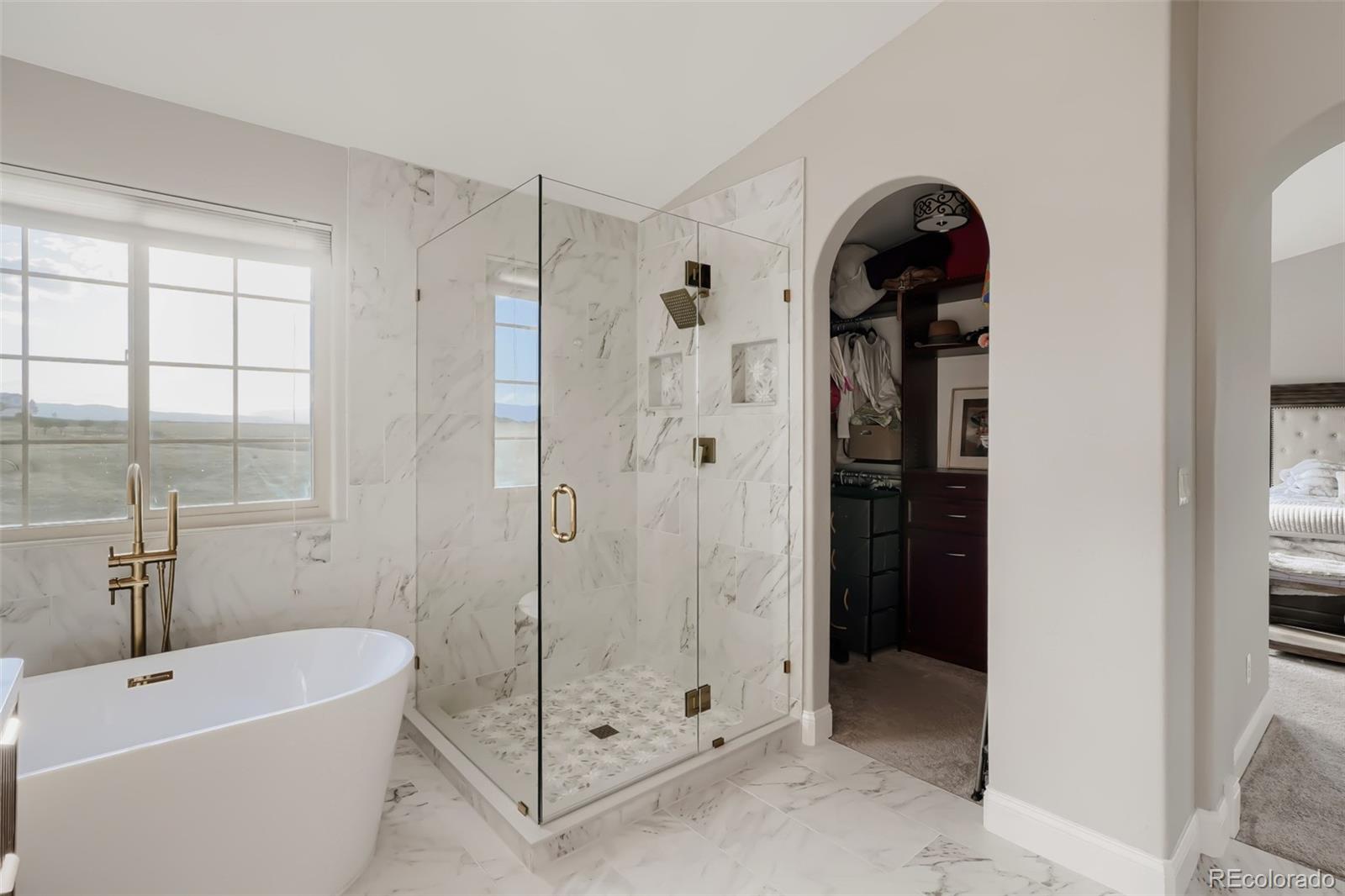 MLS Image #11 for 2919  breezy lane,castle rock, Colorado