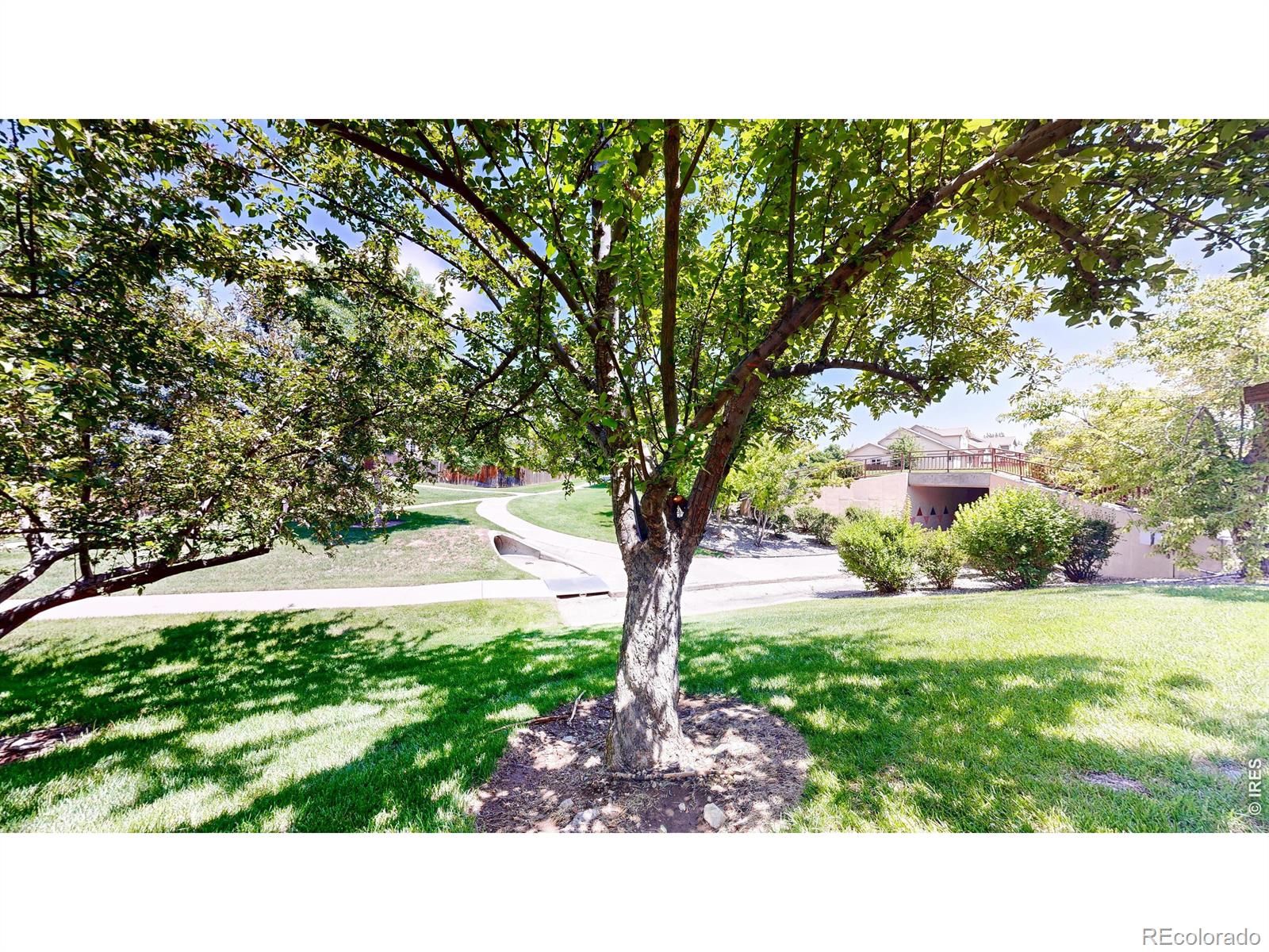 MLS Image #39 for 1802  silvergate road,fort collins, Colorado