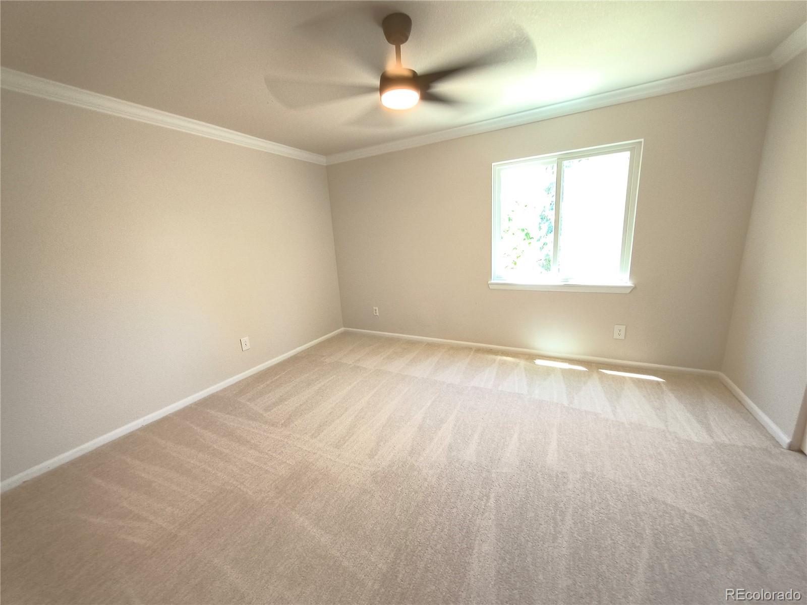 MLS Image #13 for 2358  weatherstone circle,littleton, Colorado