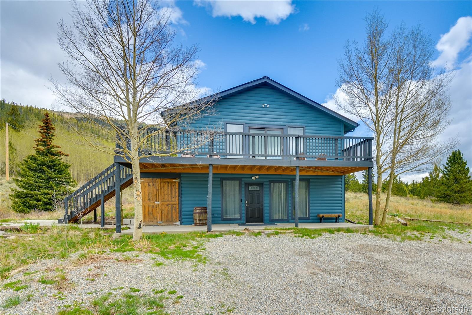 MLS Image #1 for 141  quartzville road,alma, Colorado