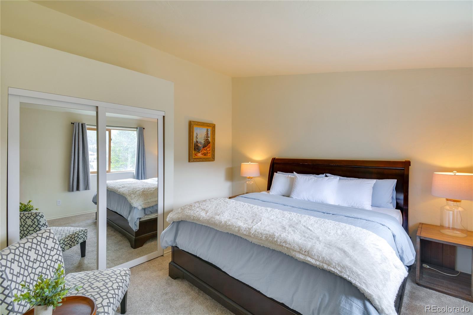 MLS Image #23 for 141  quartzville road,alma, Colorado