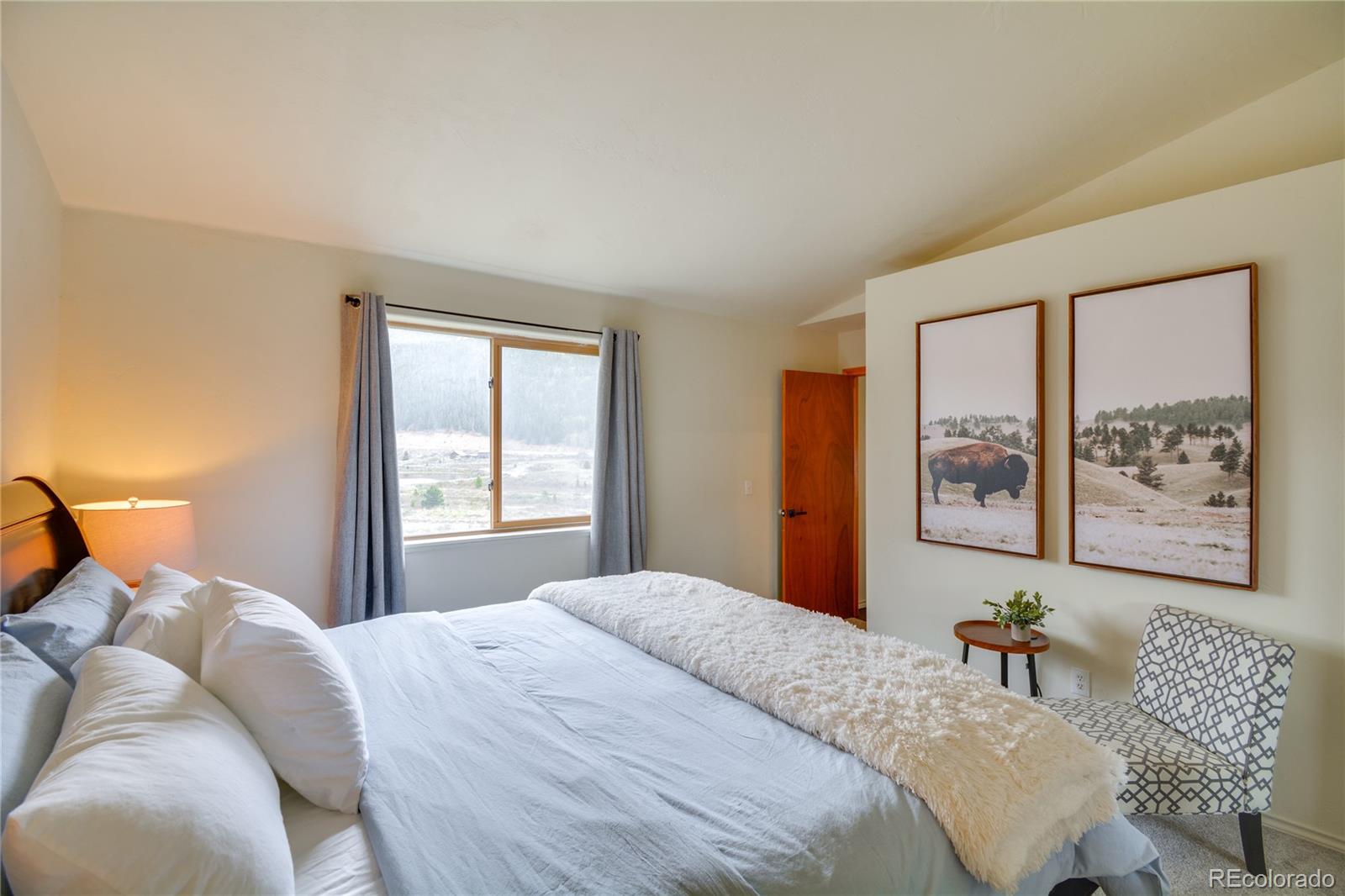 MLS Image #24 for 141  quartzville road,alma, Colorado