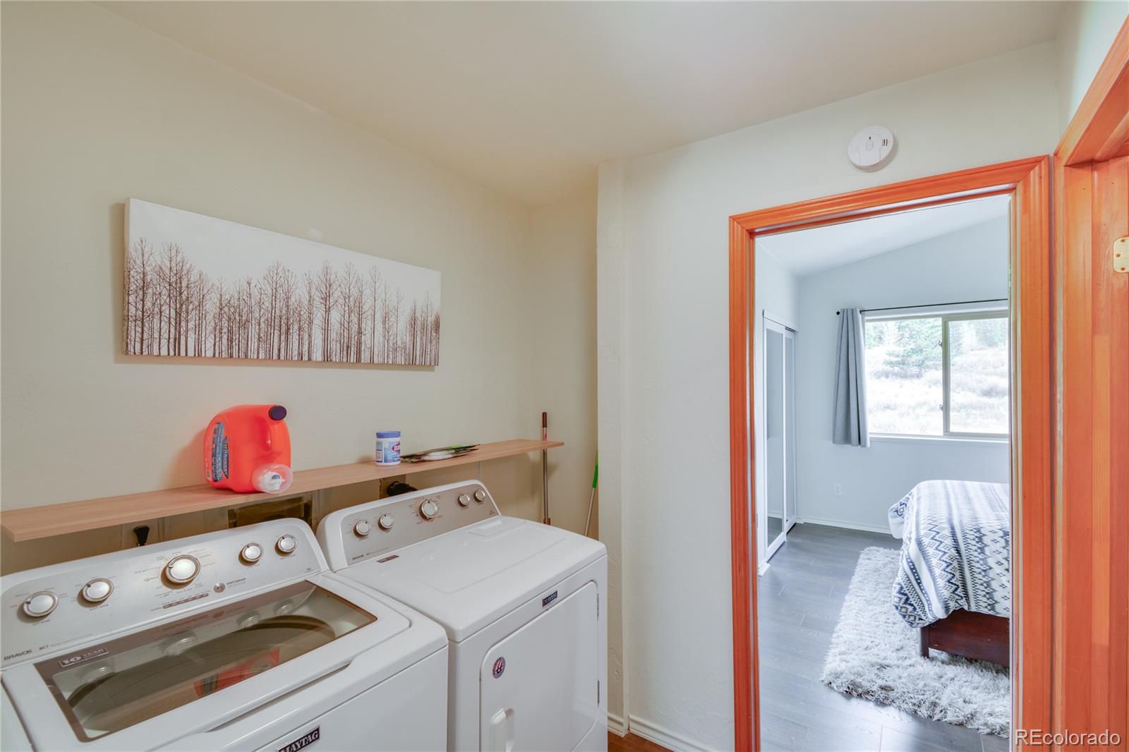 MLS Image #26 for 141  quartzville road,alma, Colorado