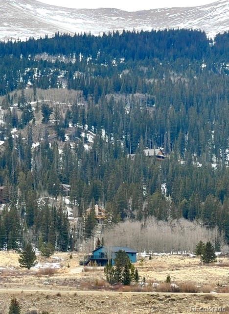 MLS Image #3 for 141  quartzville road,alma, Colorado