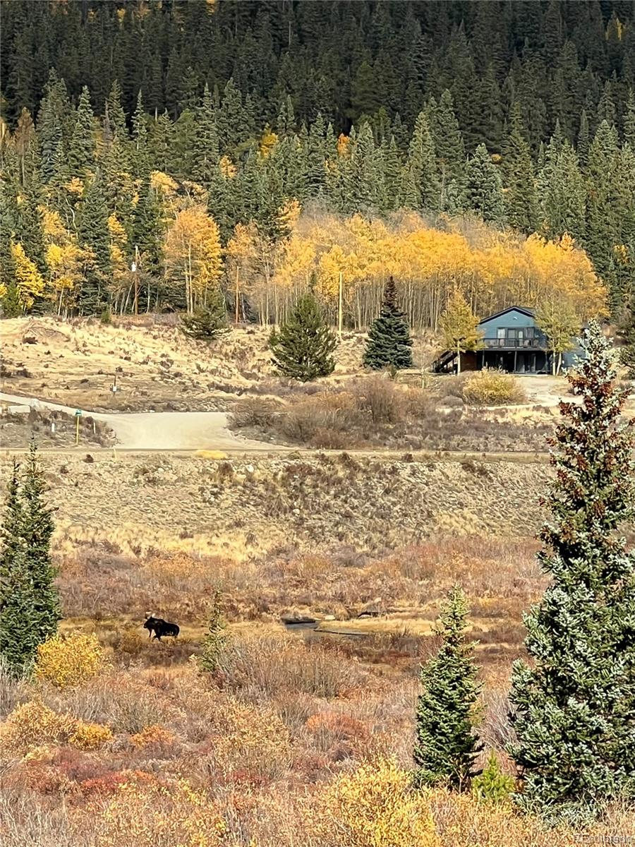 MLS Image #4 for 141  quartzville road,alma, Colorado