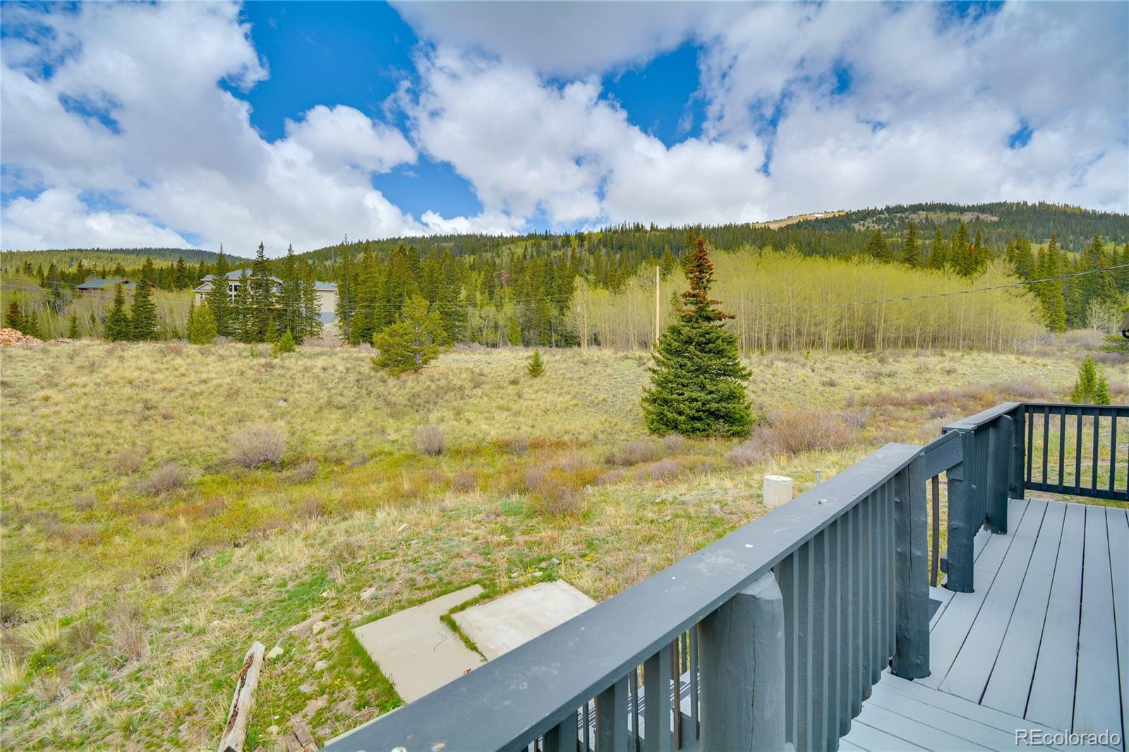 MLS Image #45 for 141  quartzville road,alma, Colorado