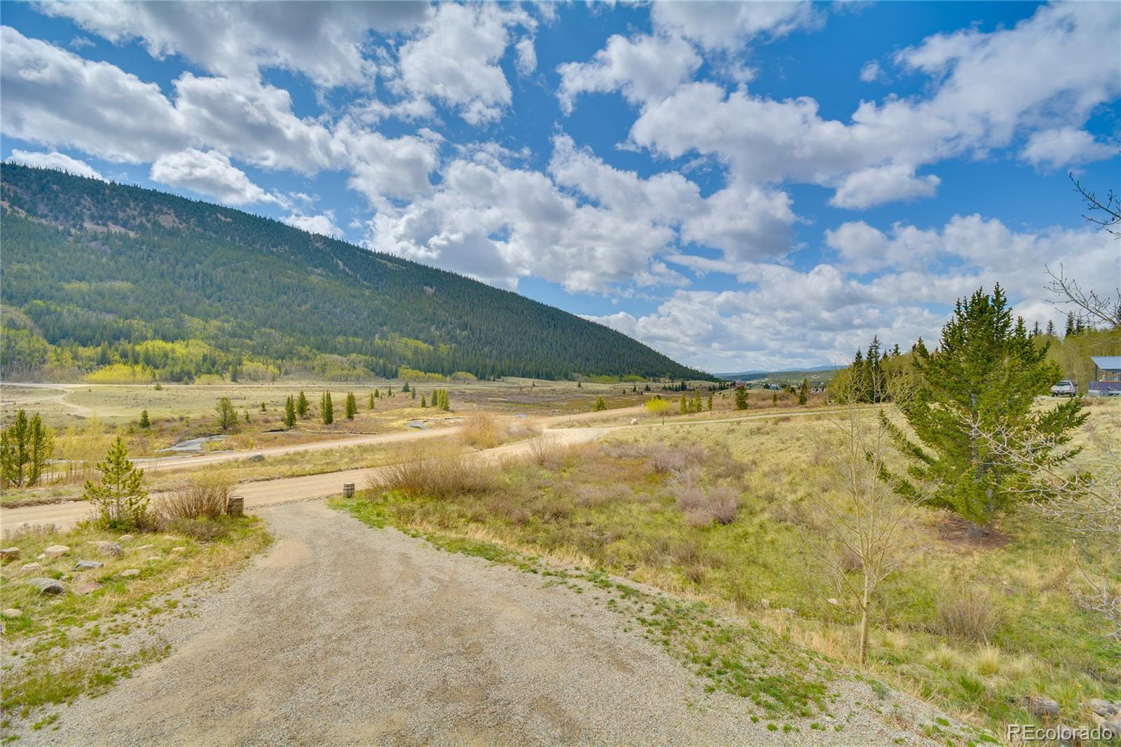 MLS Image #46 for 141  quartzville road,alma, Colorado