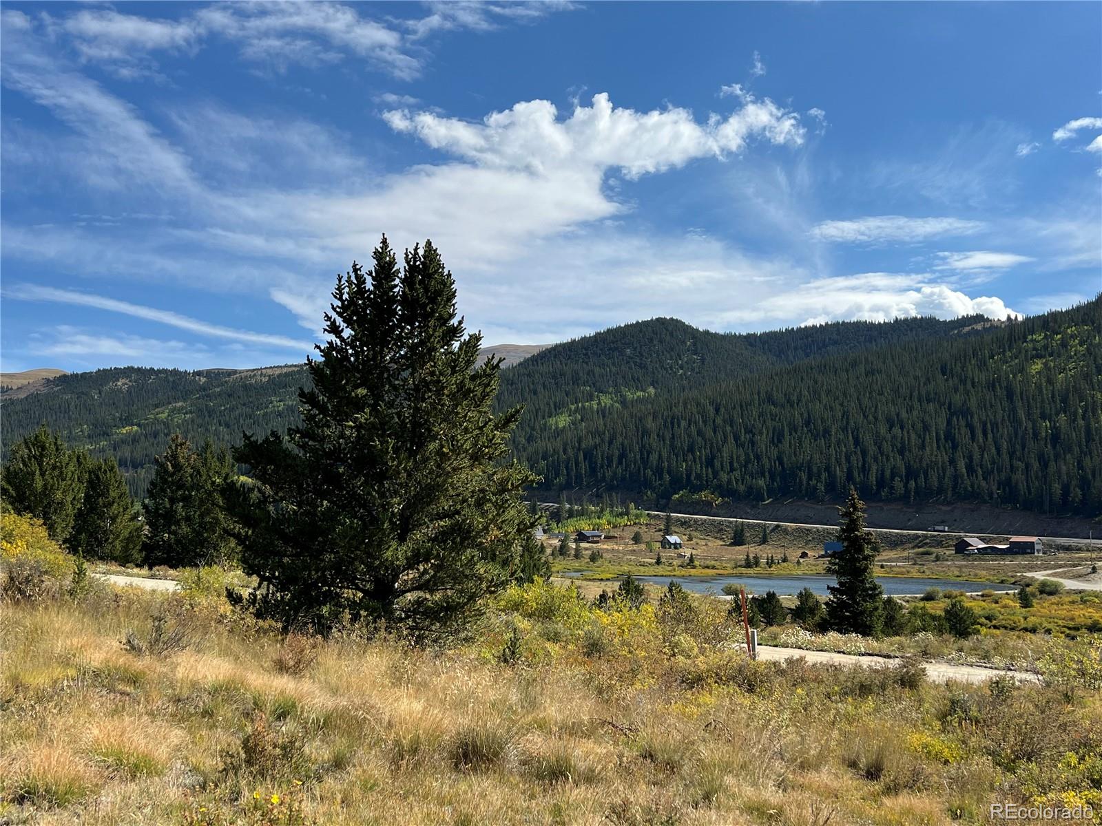 MLS Image #5 for 141  quartzville road,alma, Colorado