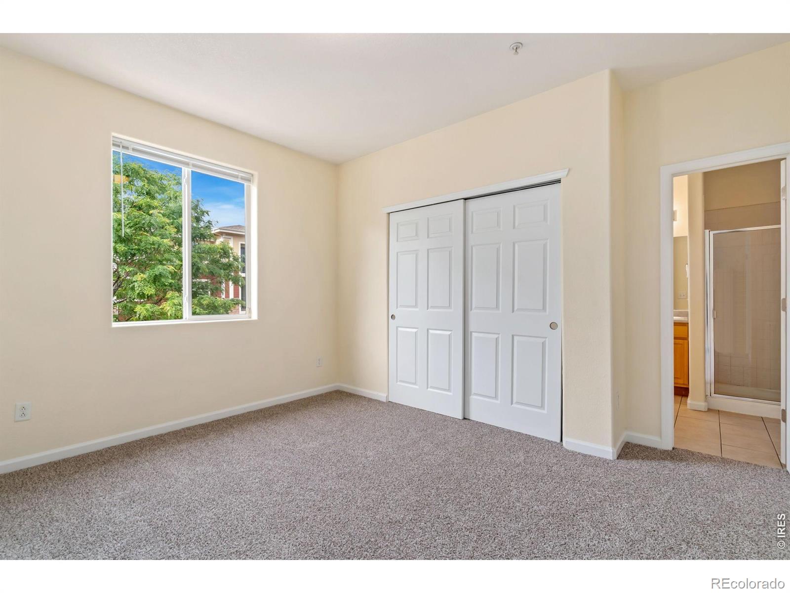 MLS Image #11 for 2850  kansas drive,fort collins, Colorado