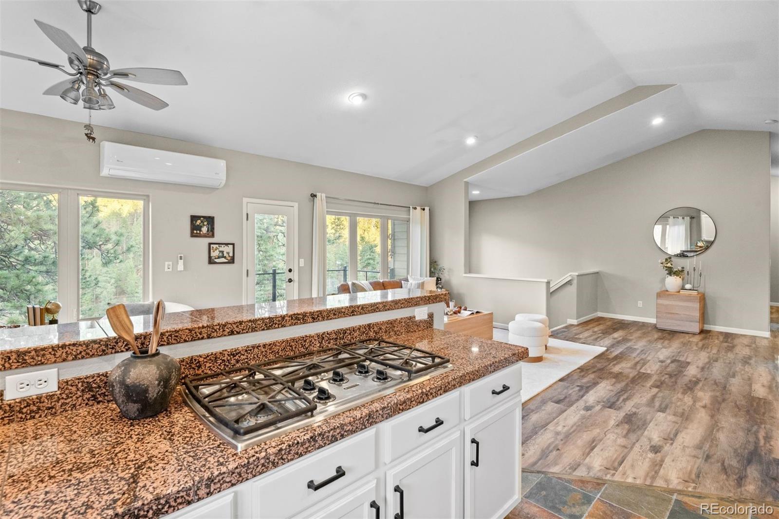MLS Image #17 for 3044  high road,evergreen, Colorado