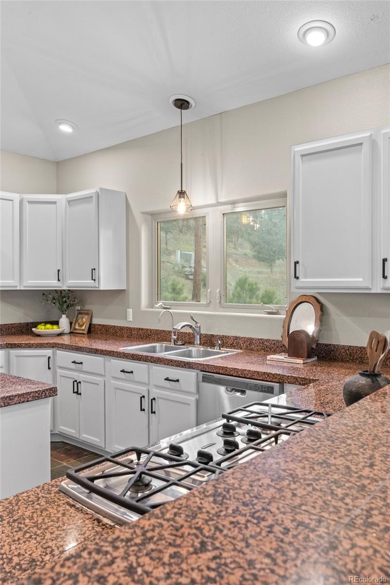 MLS Image #18 for 3044  high road,evergreen, Colorado