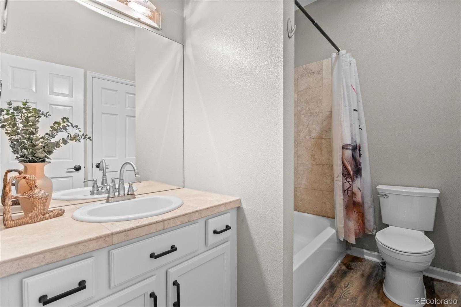 MLS Image #27 for 3044  high road,evergreen, Colorado