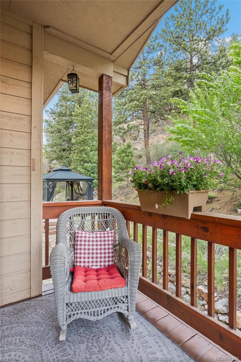 MLS Image #40 for 3044  high road,evergreen, Colorado