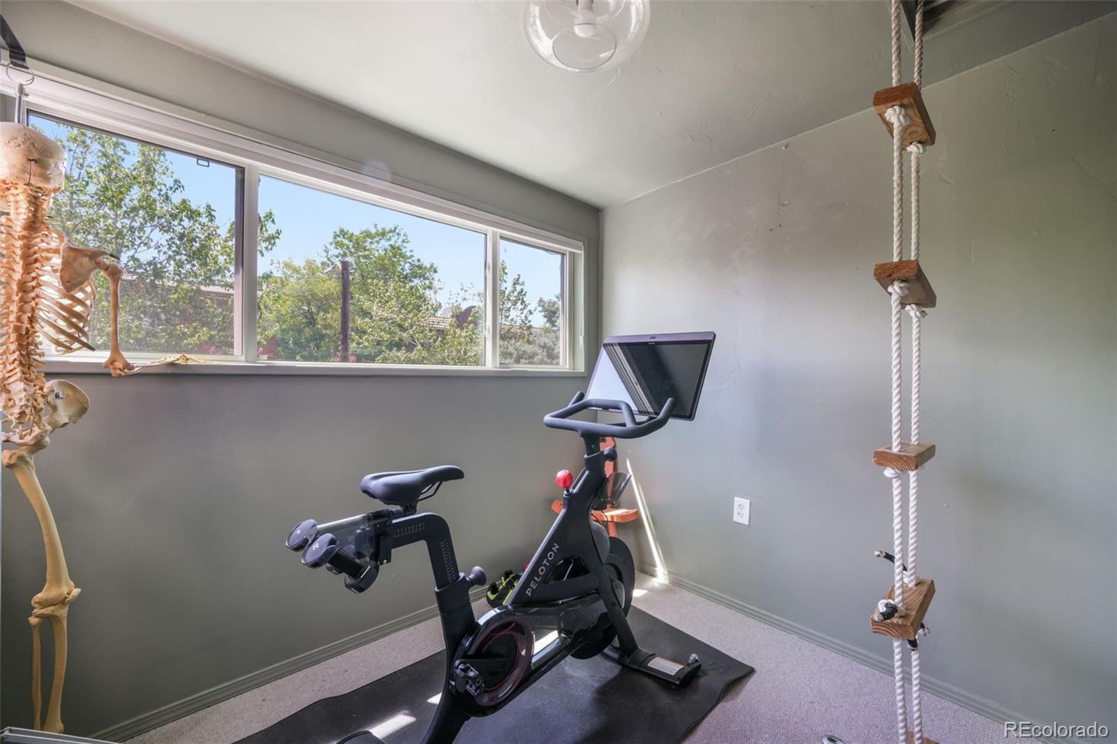 MLS Image #32 for 1356 n downing street,denver, Colorado