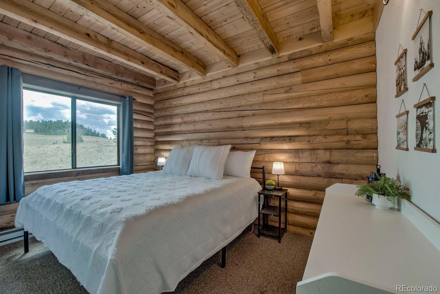 MLS Image #12 for 192  maricopa trail,hartsel, Colorado