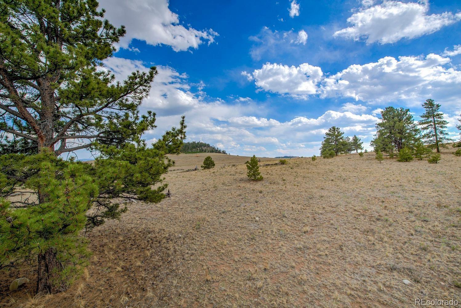MLS Image #25 for 192  maricopa trail,hartsel, Colorado