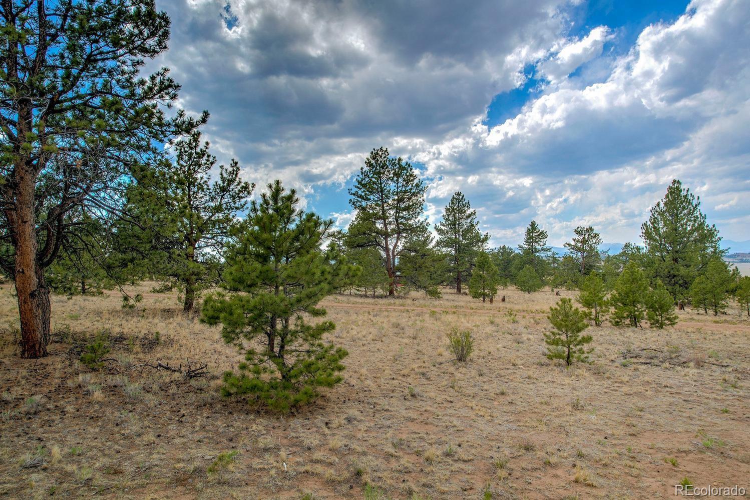 MLS Image #29 for 192  maricopa trail,hartsel, Colorado