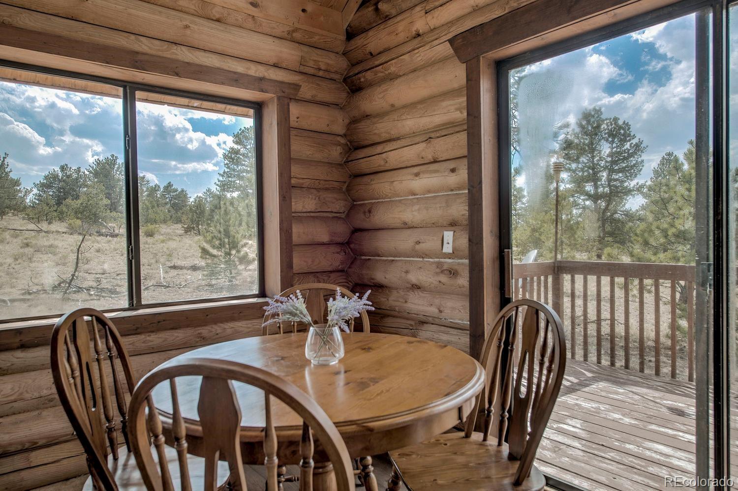 MLS Image #7 for 192  maricopa trail,hartsel, Colorado