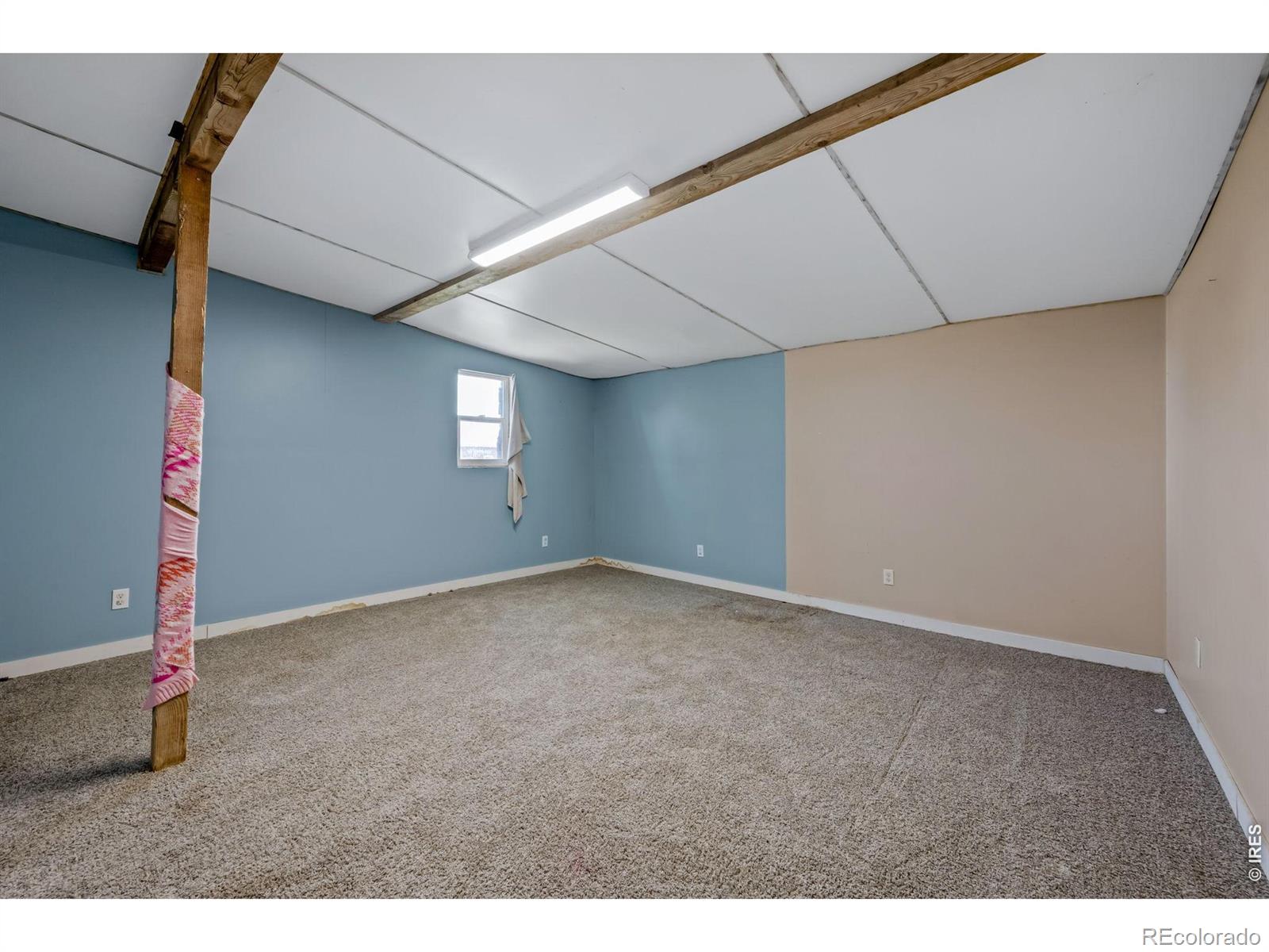 MLS Image #4 for 5021  county road 32 ,longmont, Colorado