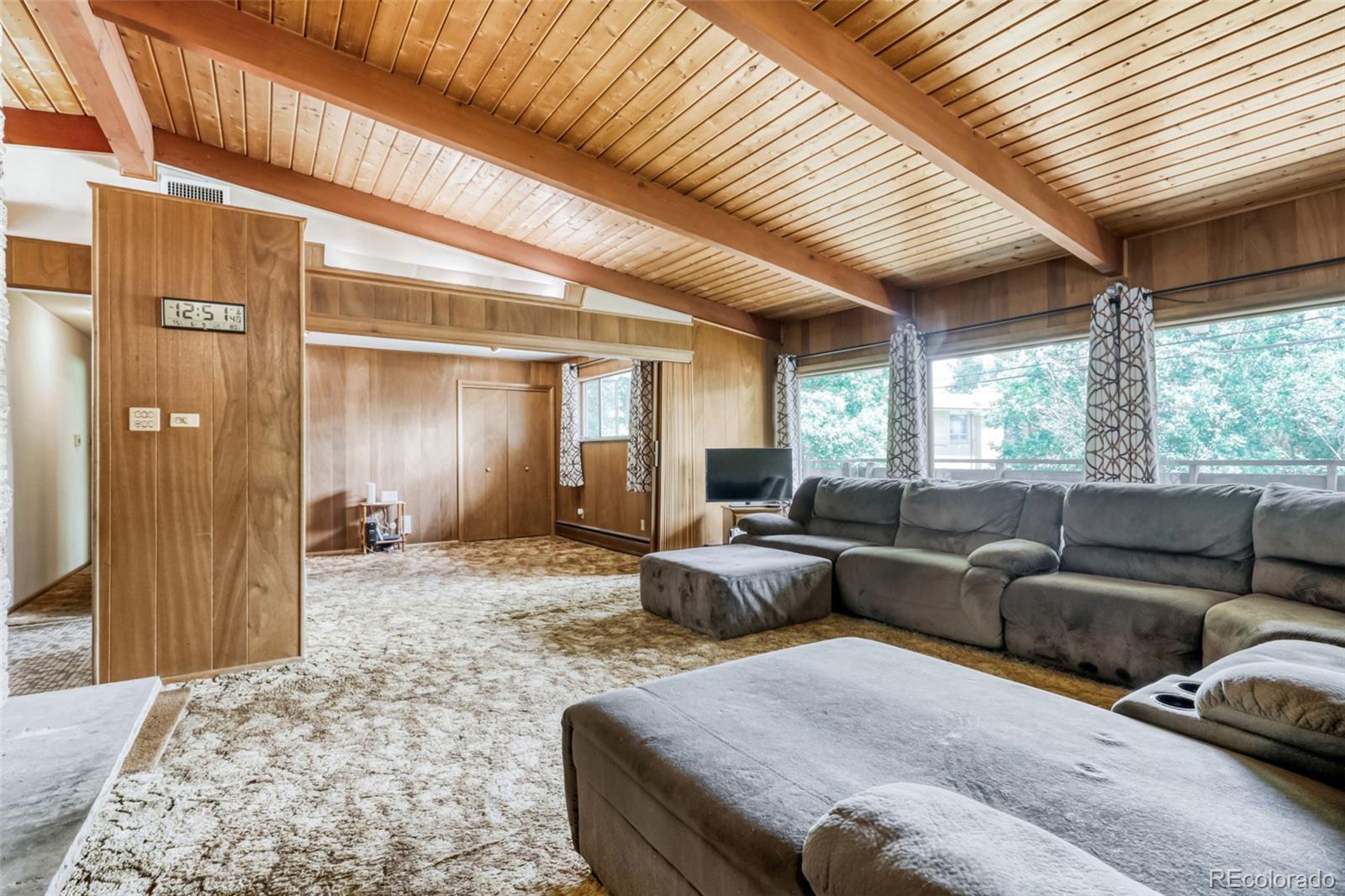 MLS Image #10 for 700  dudley street,lakewood, Colorado