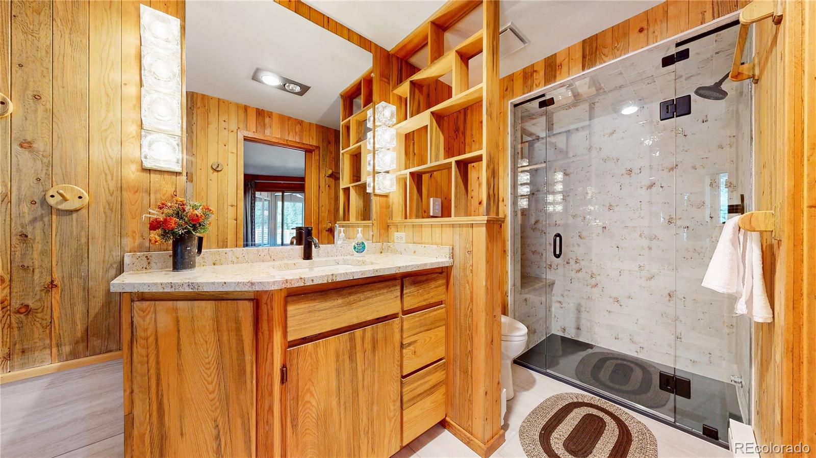 MLS Image #12 for 3820  county road 68 ,bailey, Colorado