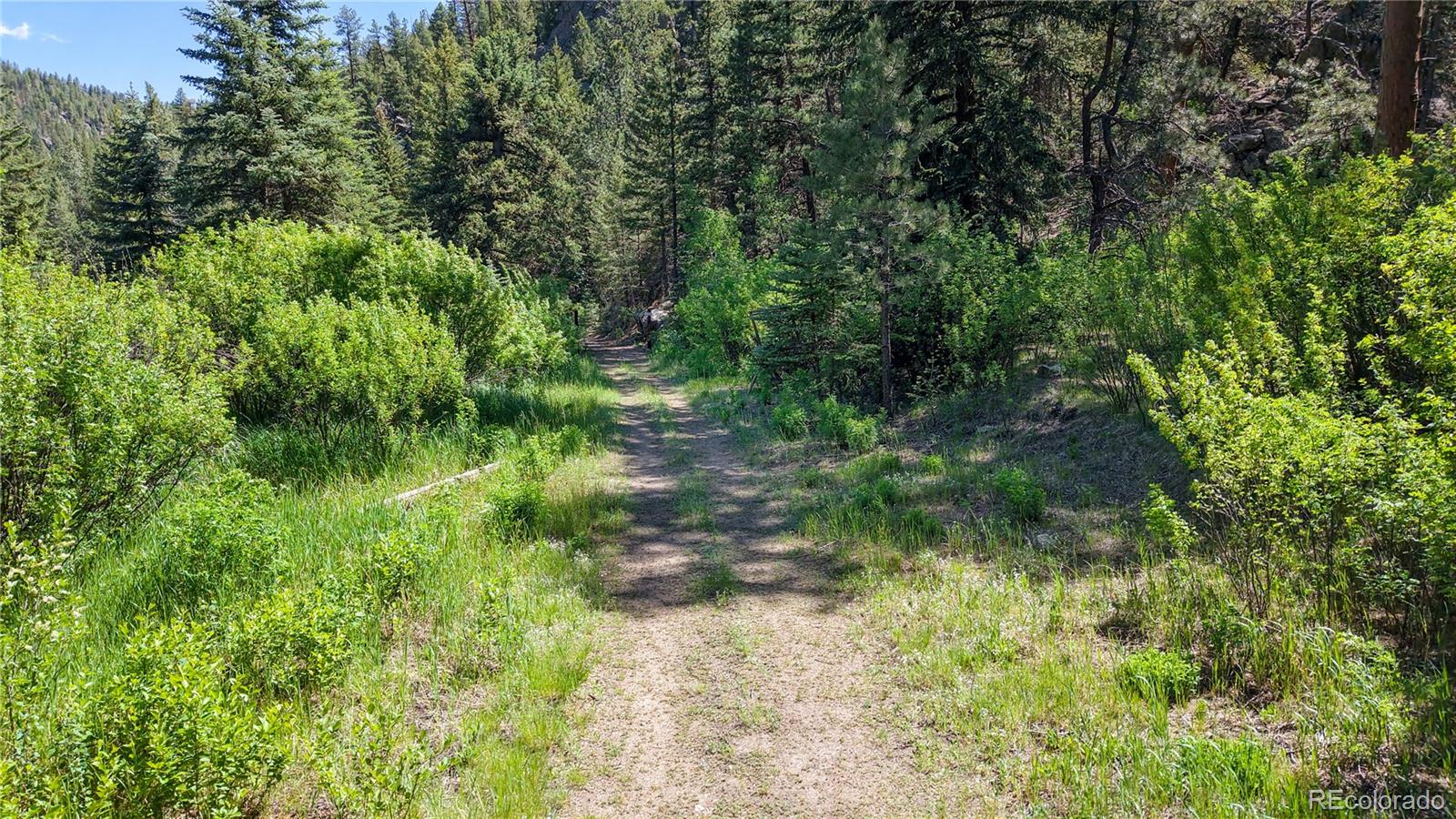 MLS Image #38 for 3820  county road 68 ,bailey, Colorado