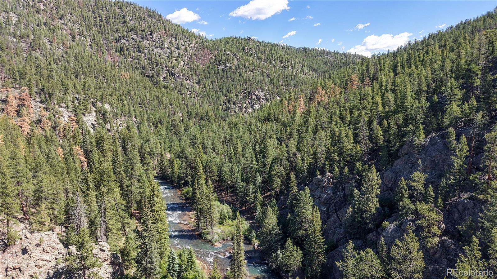 MLS Image #39 for 3820  county road 68 ,bailey, Colorado