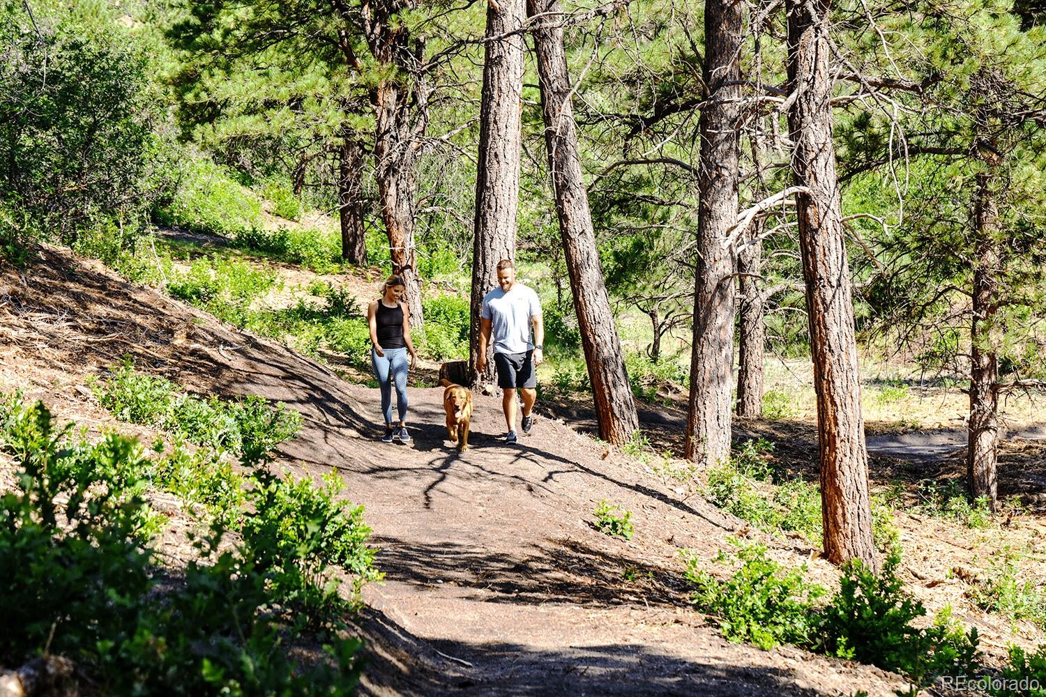 MLS Image #17 for 4224  buttongrass trail,castle rock, Colorado