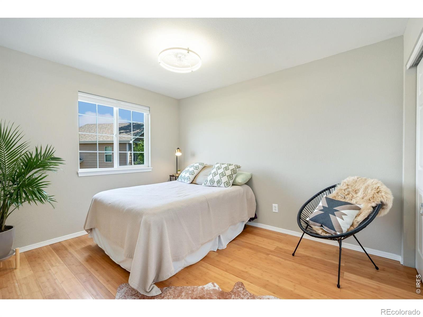 MLS Image #14 for 1800  terrace court,fort collins, Colorado