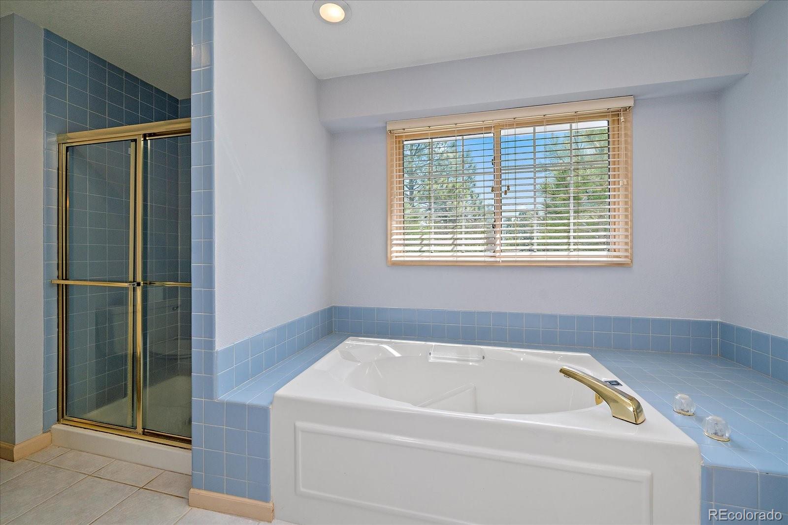 MLS Image #23 for 6204  northstar ridge lane,parker, Colorado