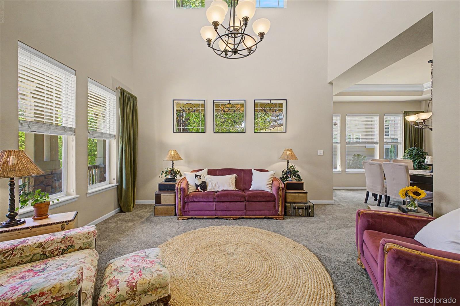 MLS Image #5 for 8323  beech street,arvada, Colorado