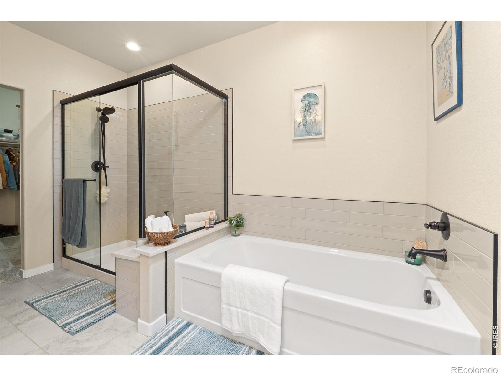 MLS Image #20 for 3593  taylor walker street,loveland, Colorado