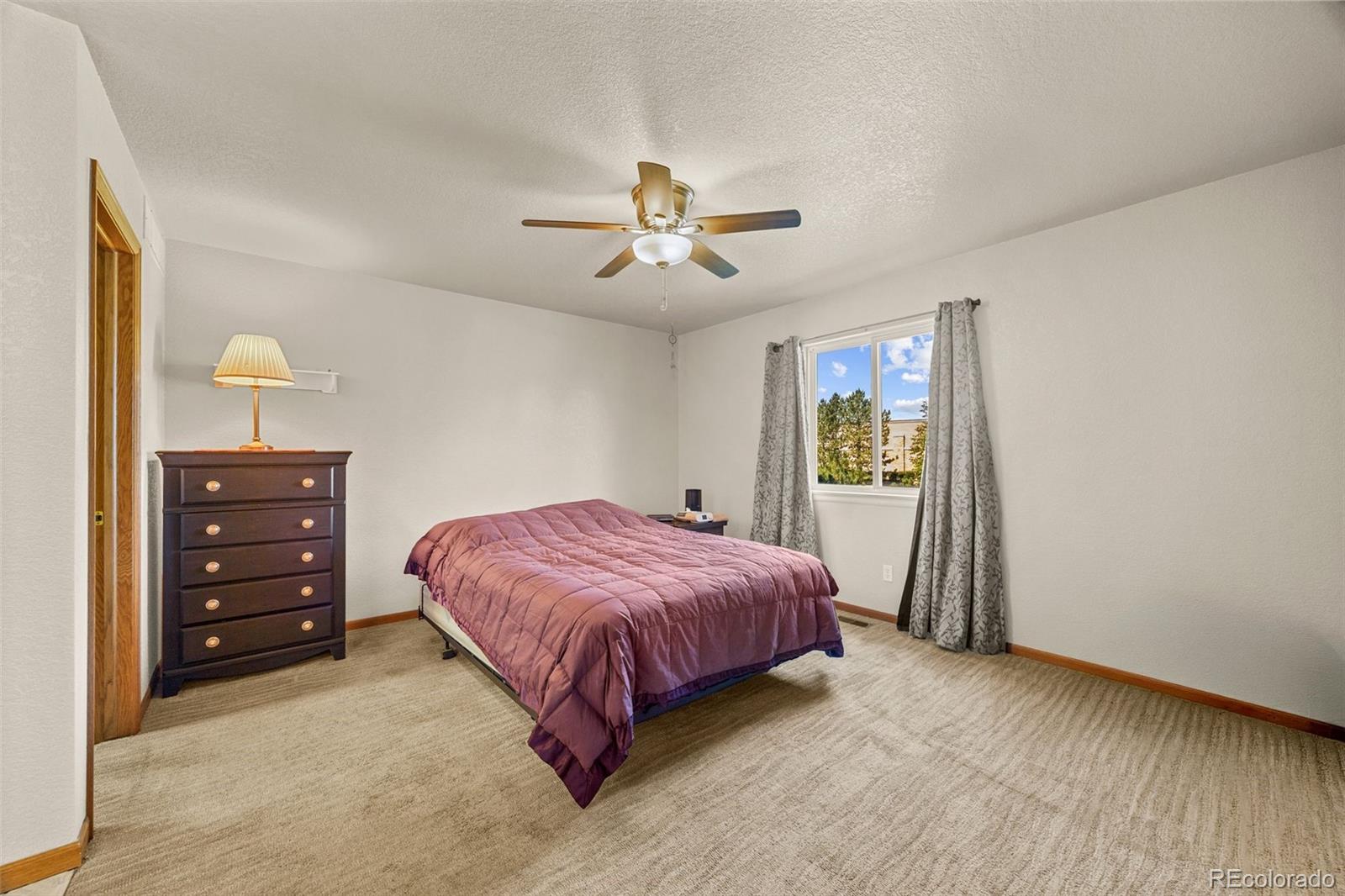 MLS Image #22 for 220  manor court,windsor, Colorado