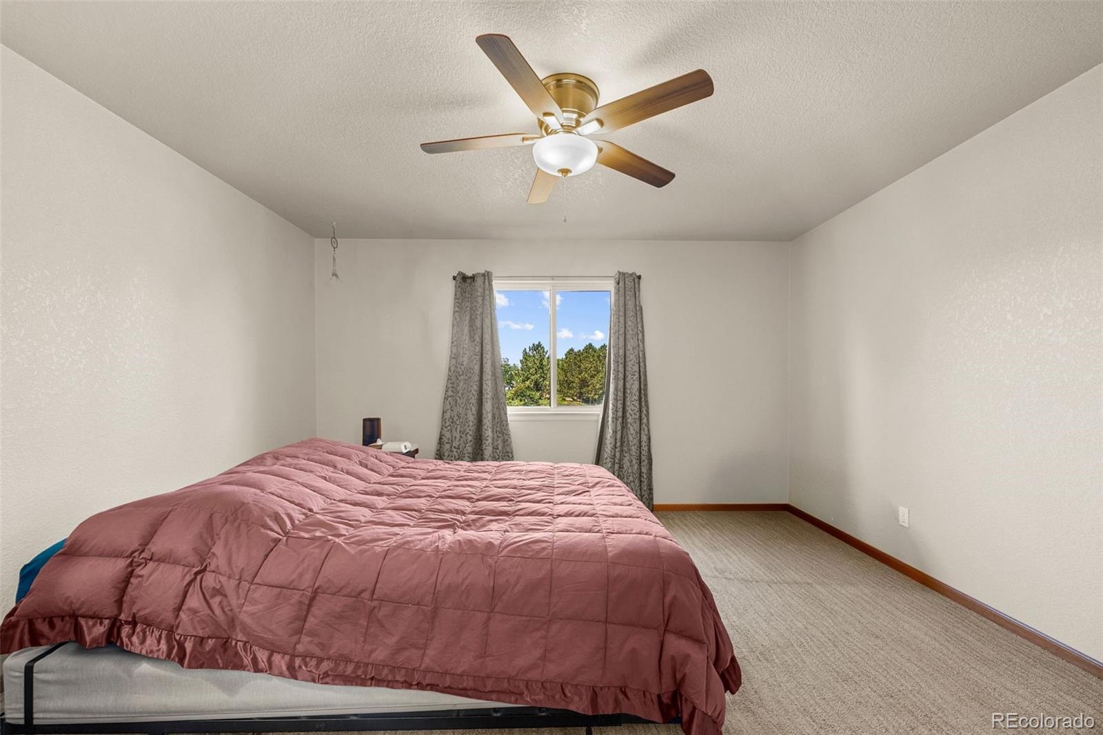 MLS Image #25 for 220  manor court,windsor, Colorado