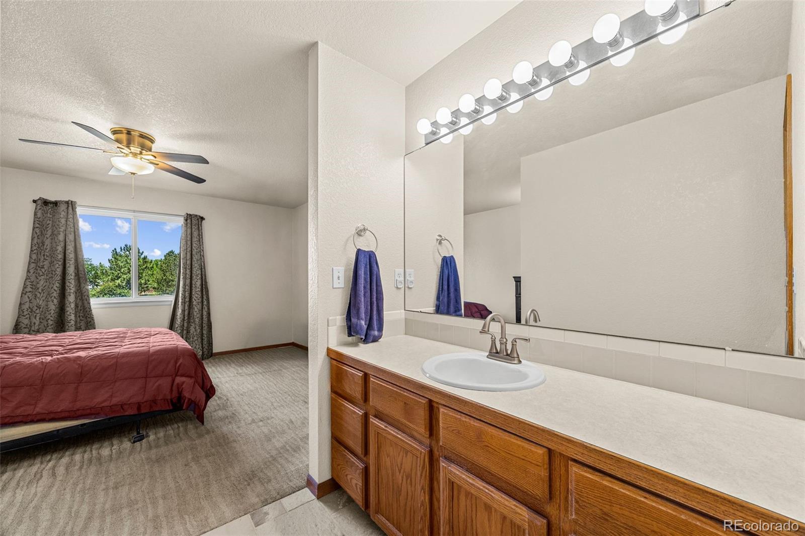 MLS Image #27 for 220  manor court,windsor, Colorado