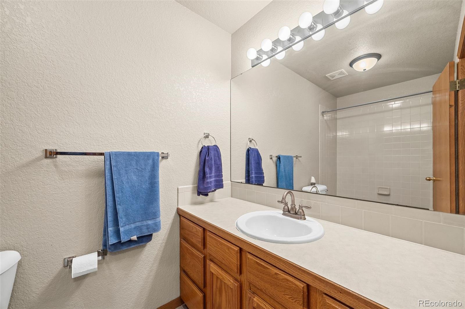 MLS Image #28 for 220  manor court,windsor, Colorado