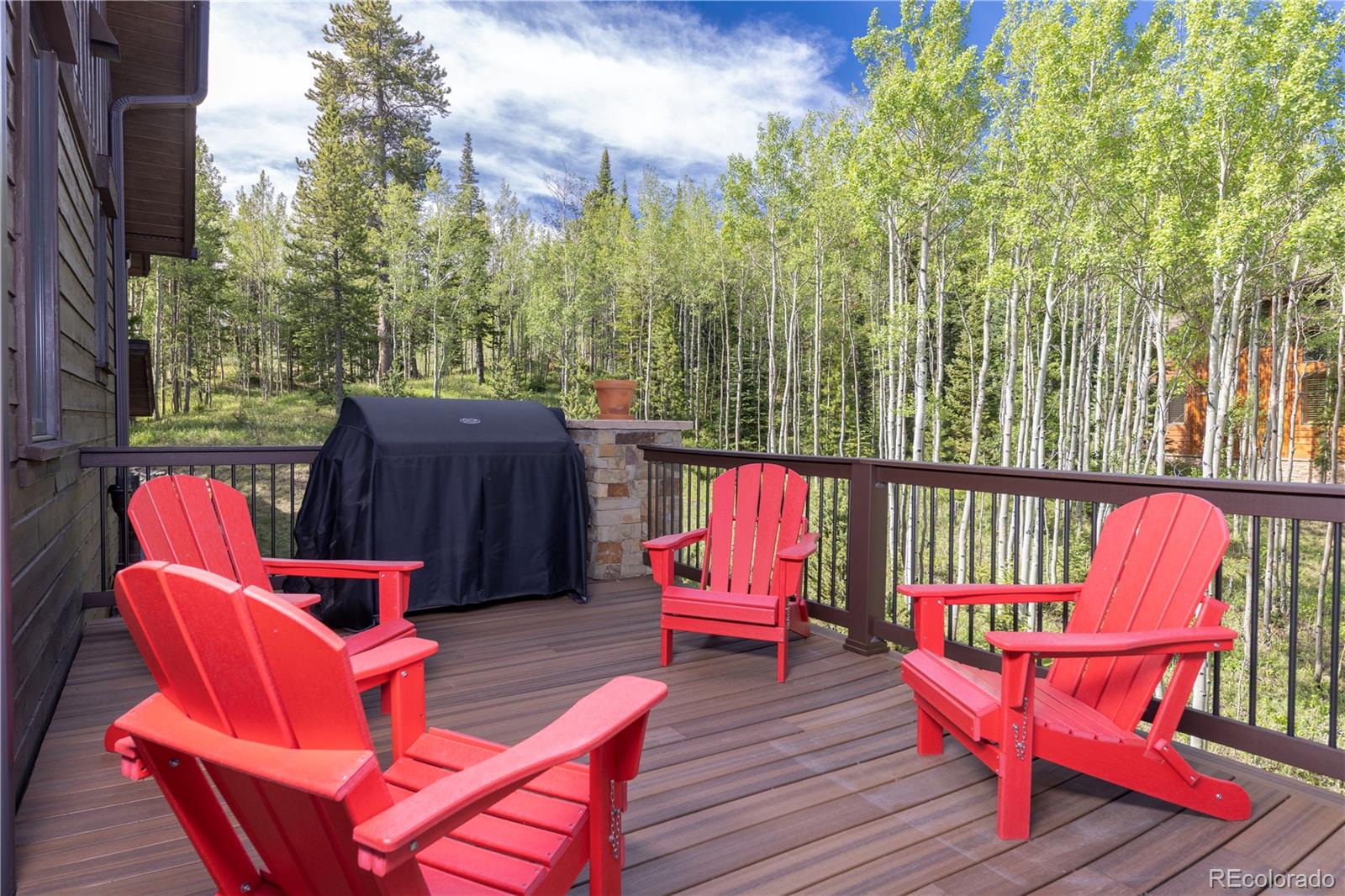 MLS Image #13 for 2045  currant way,silverthorne, Colorado