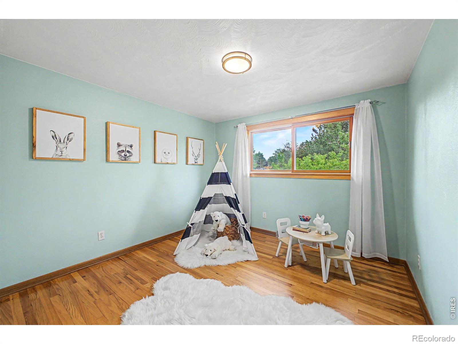 MLS Image #15 for 9132  jotipa drive,longmont, Colorado
