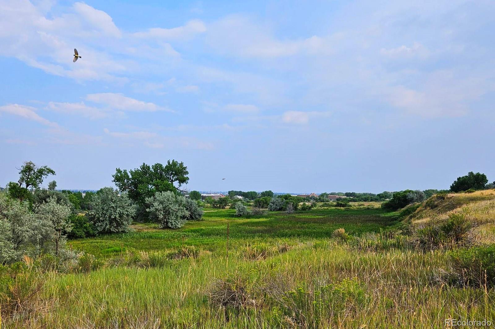 MLS Image #35 for 16138  white hawk drive,parker, Colorado